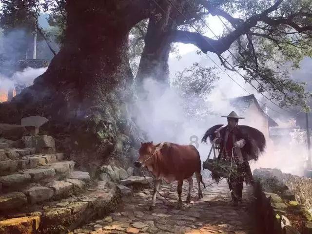 求生之路2
