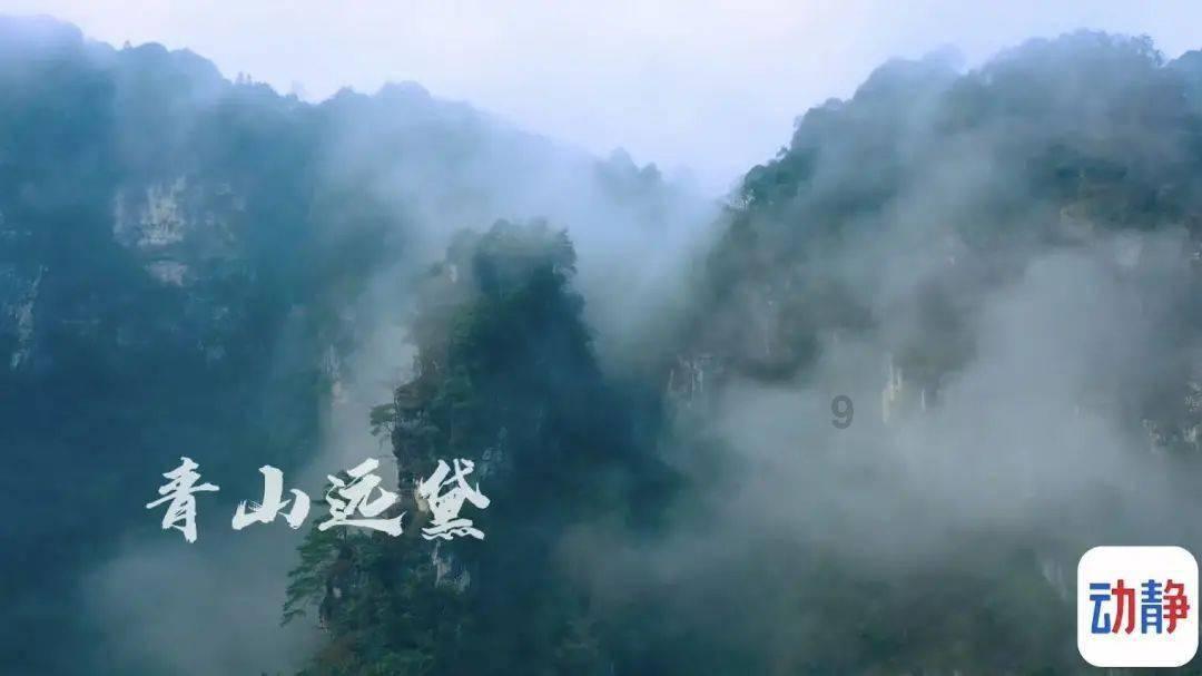 女巫的约定