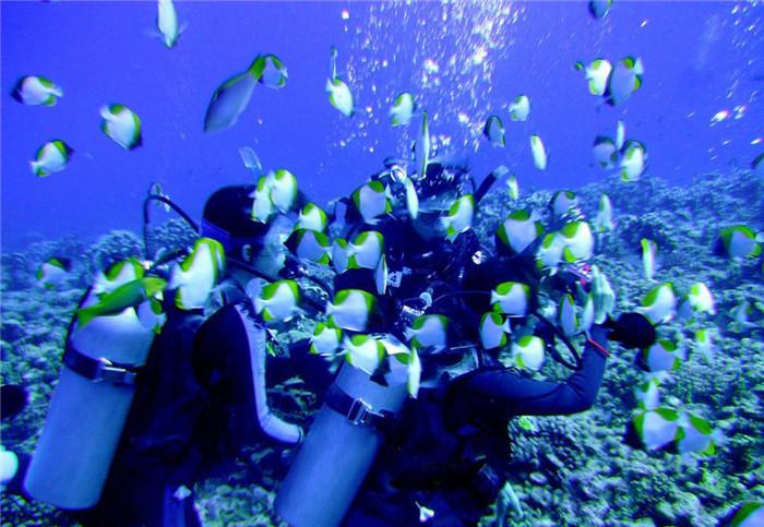 厦门海洋碳汇交易走在全国前列