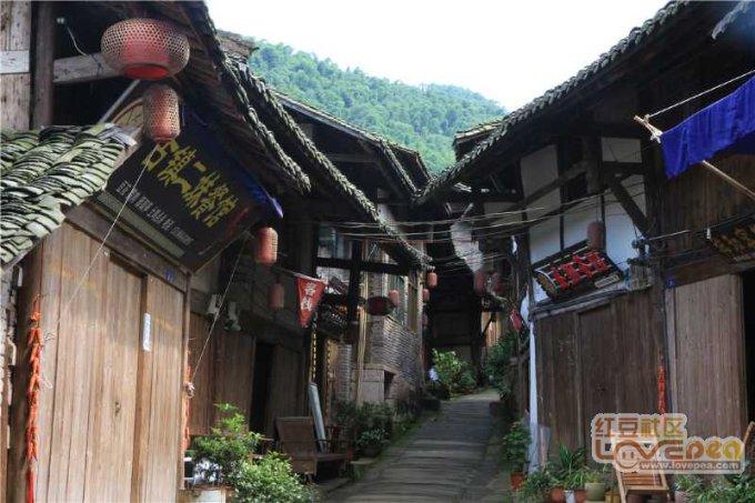 全民烧脑3去广告版
